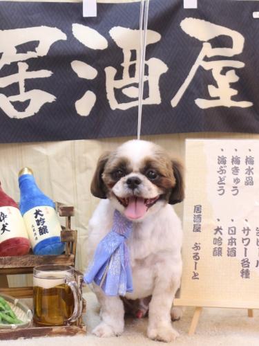 20240607うーたん